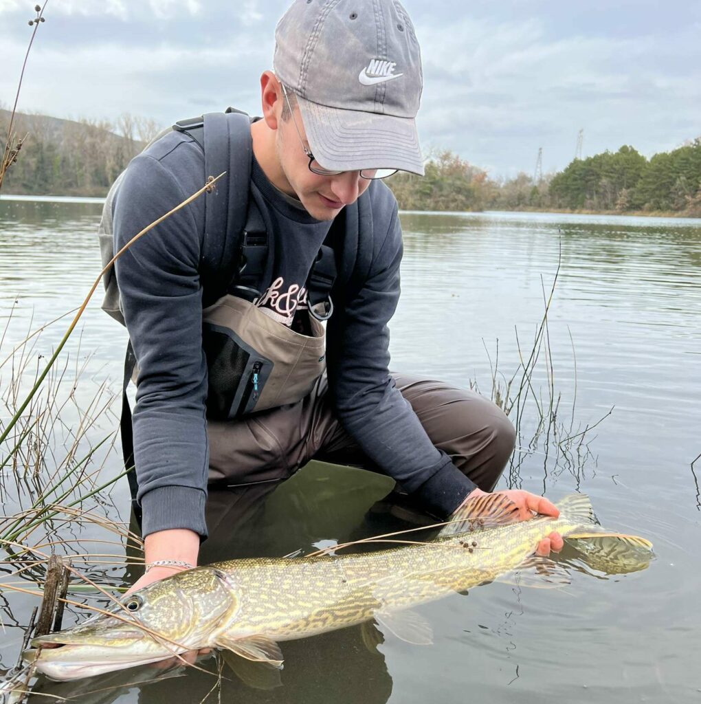 Brochet ardéchois au leurre