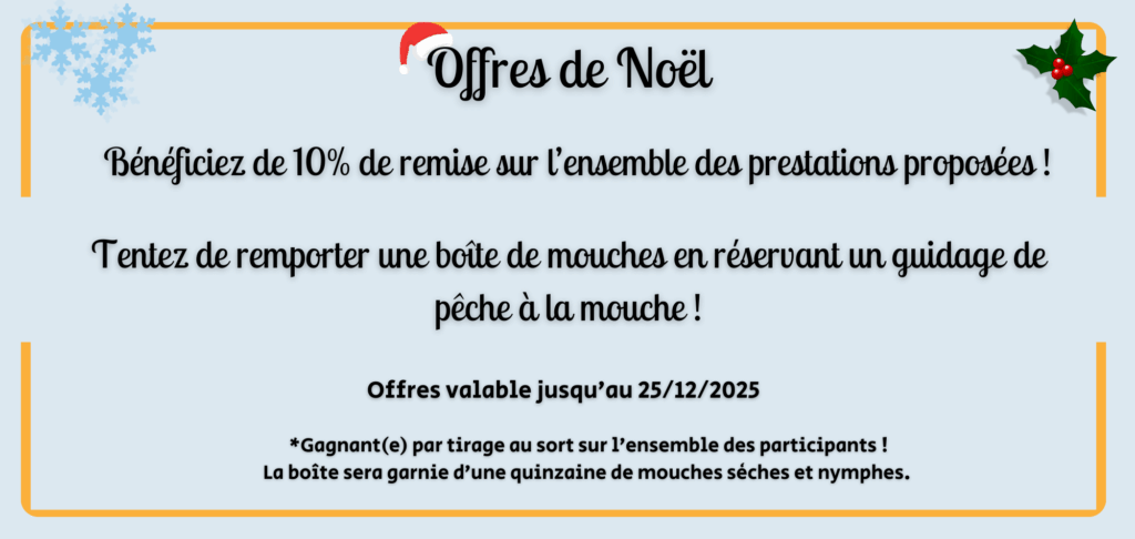 Offre de Noël 2025